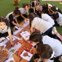 561569292 1311076557481574 6458349709403057728 n