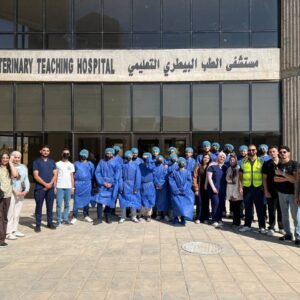 573934742 1248823783955100 1599697411993871339 n