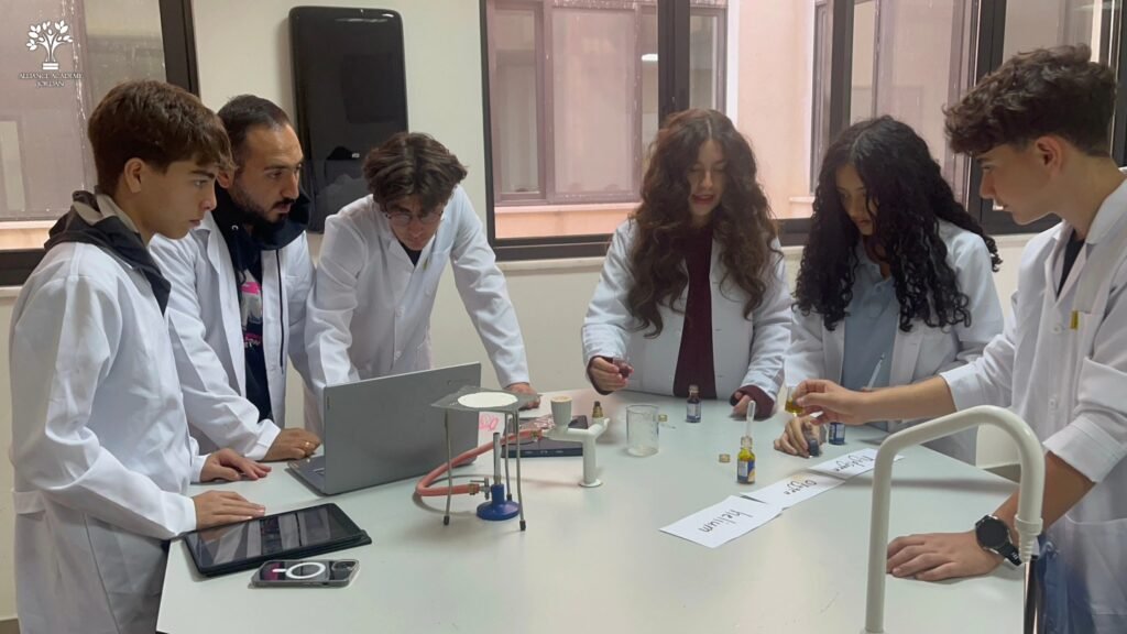 587118037 1195634642664183 5199567276117703269 n